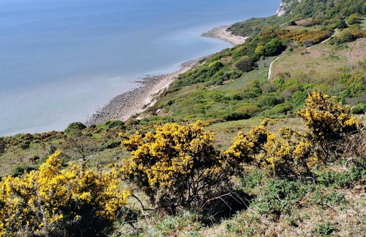 Elegant Spacious Seaside Apartment St Leonards-on-Sea Esterno foto